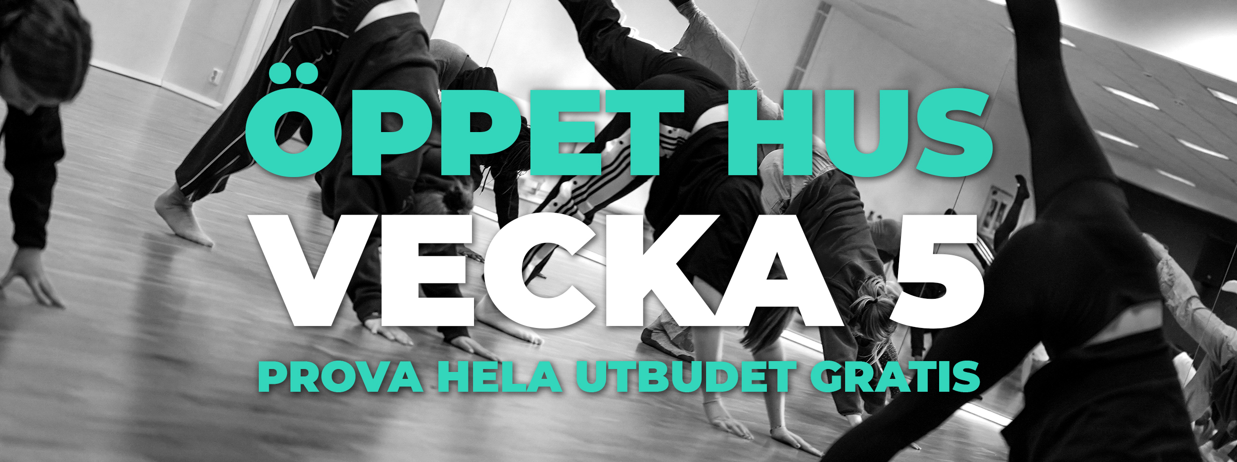 provapå_vecka5_232